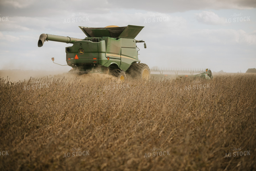 Soybean Harvest 6913