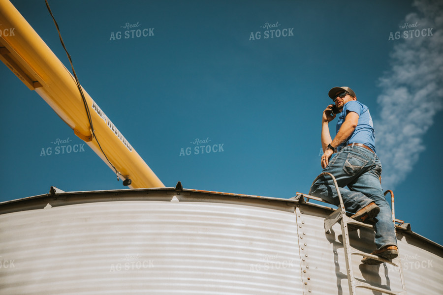 Farmer on Bin Talking on Phone 7073