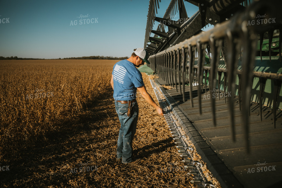 Farmer Inspecting Combine Head 7122