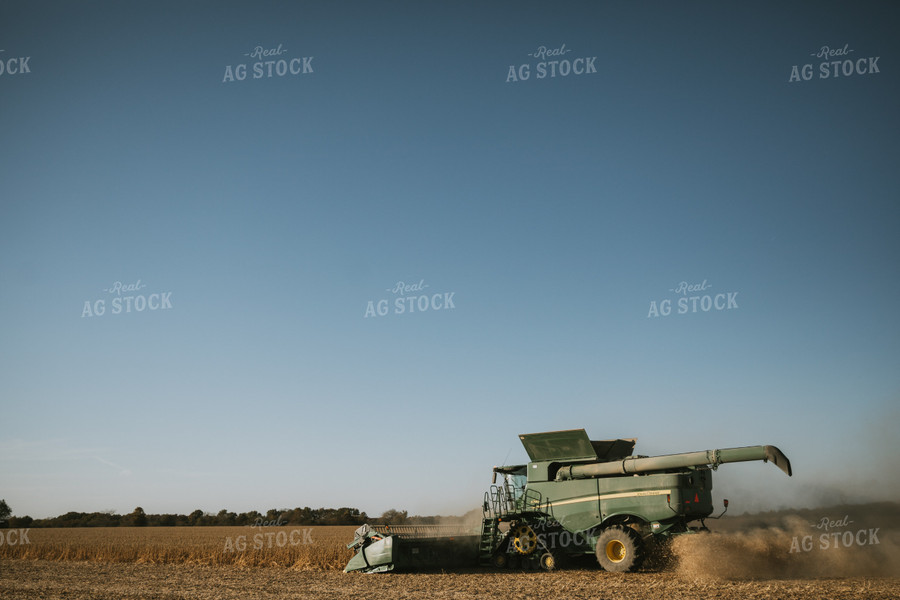 Soybean Harvest 7190