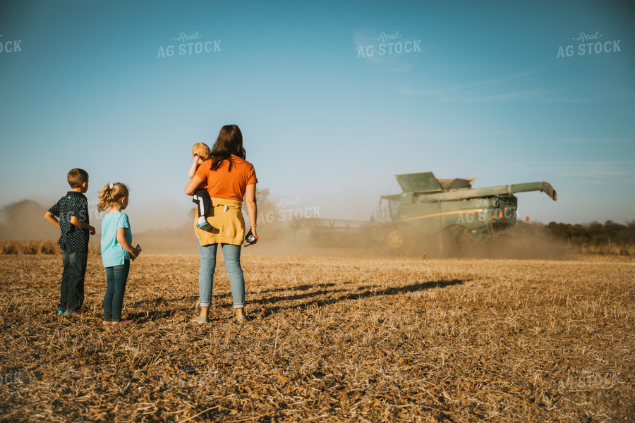 Farm Family in Field Watching Combine 7210