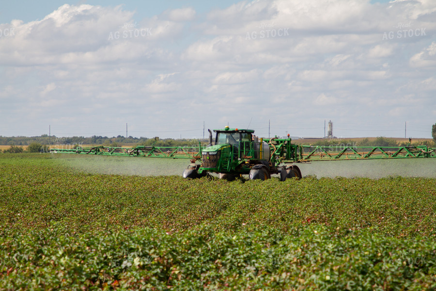 Spraying Cotton 79168