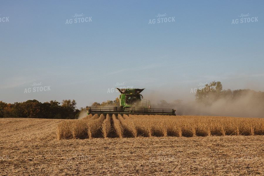 Soybean Harvest 67272