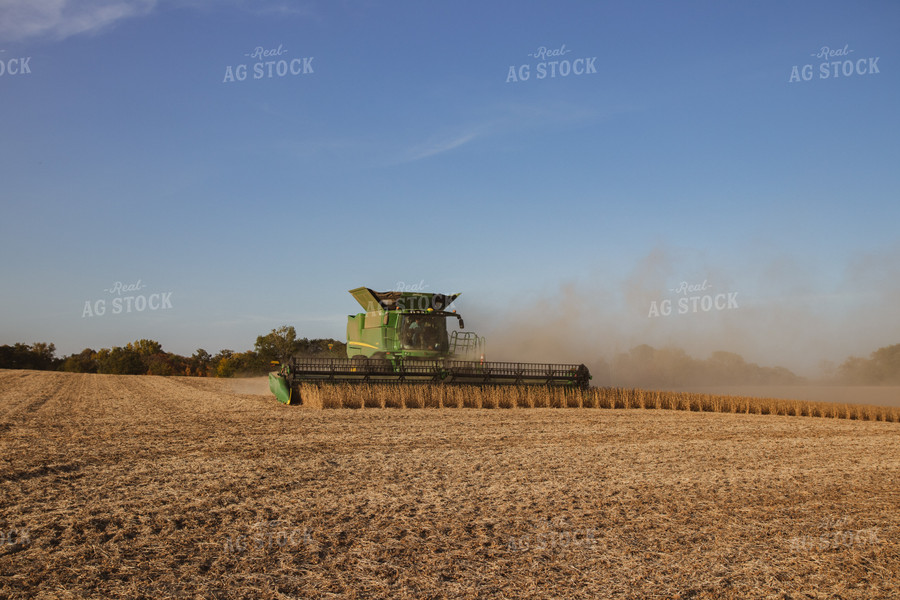 Soybean Harvest 67273