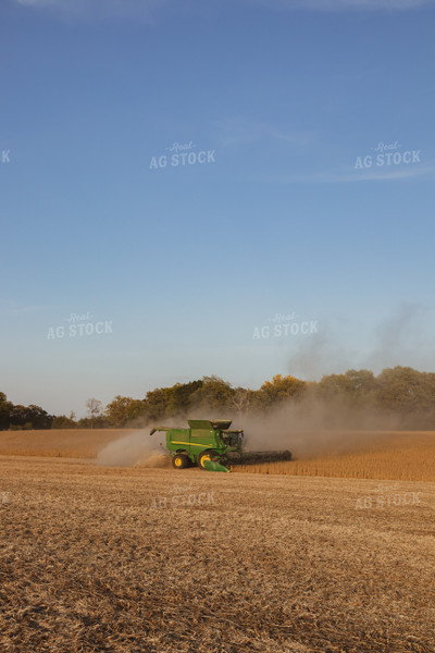 Soybean Harvest 67280