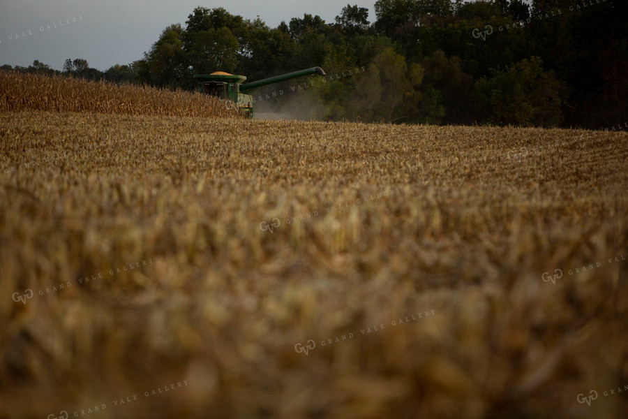 Harvest 1729