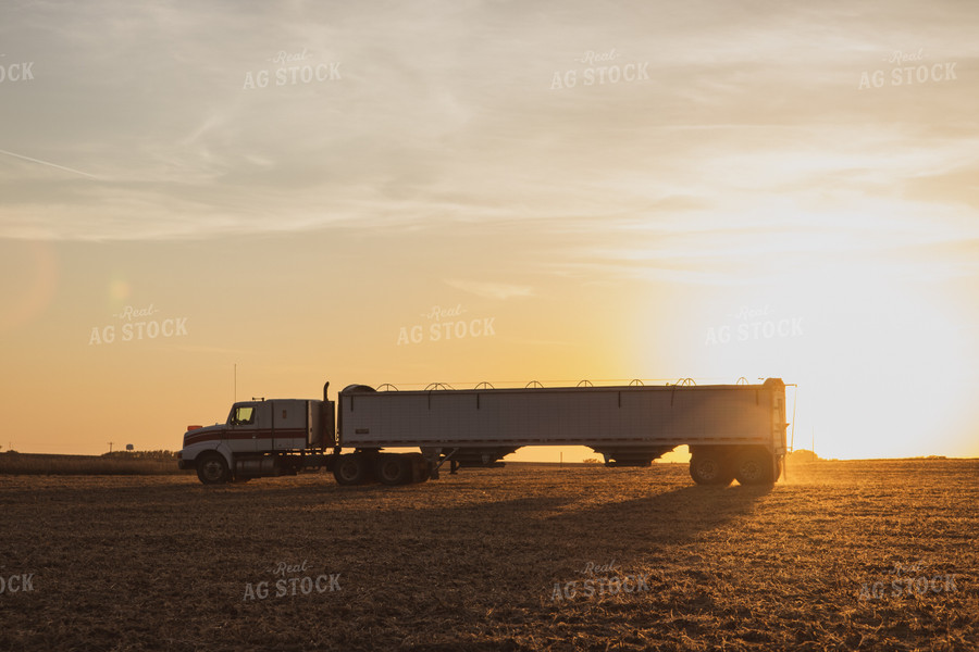 Semi Truck in Soybean Field 67283