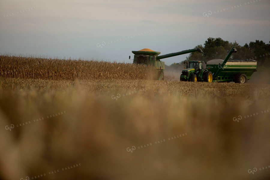 Harvest 1730