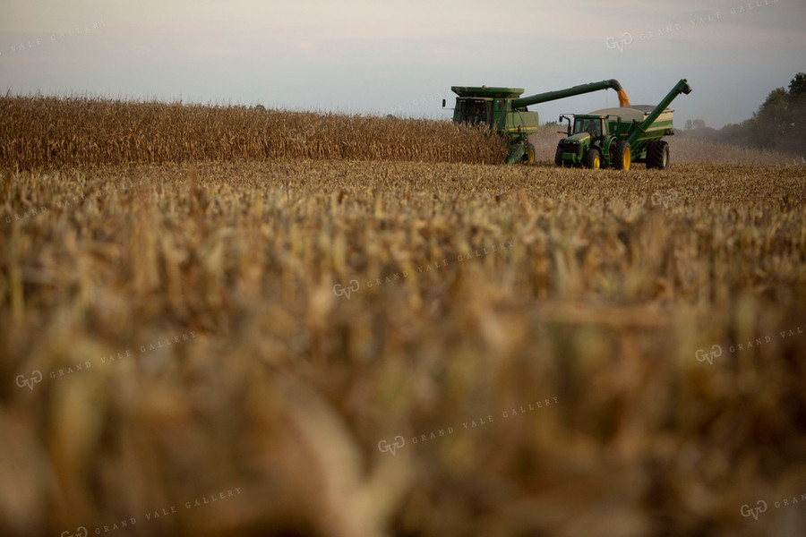 Harvest 1732