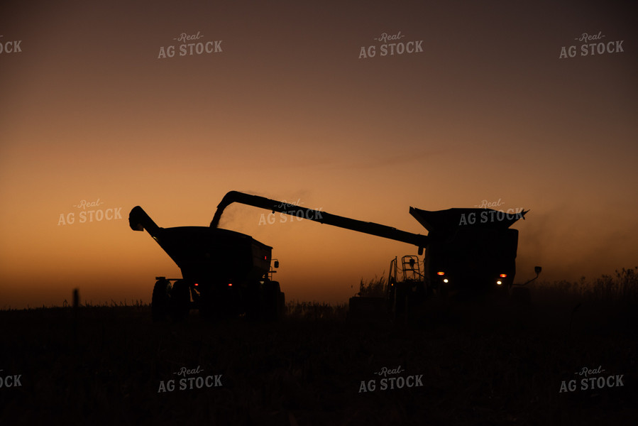 Corn Harvest at Dusk 76310