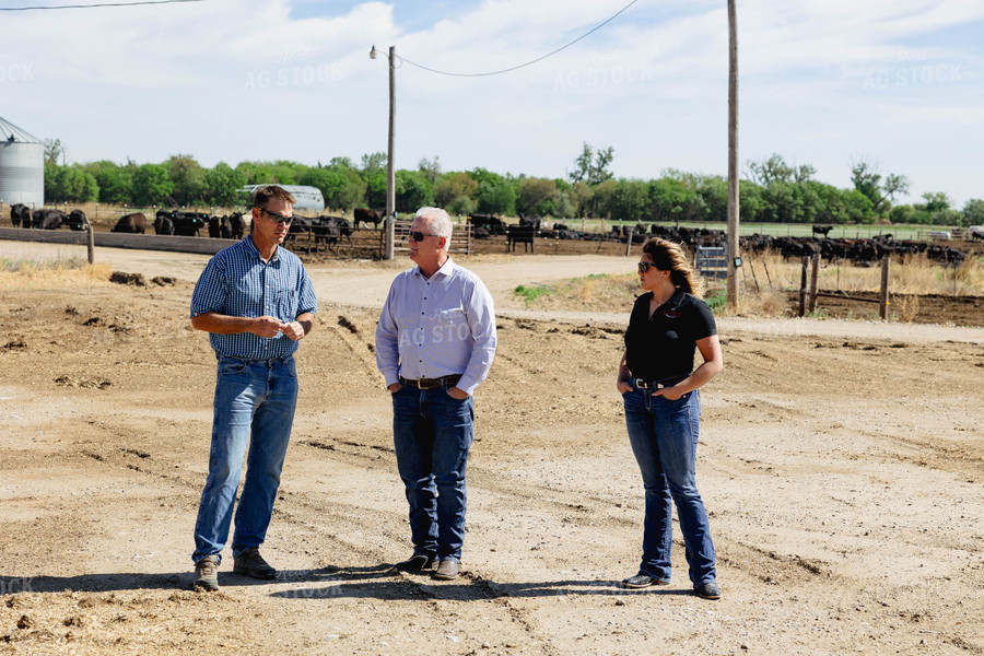 Farmers Talking in Farmyard 114023