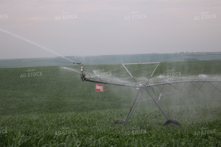 Irrigation System in Corn Field 82083
