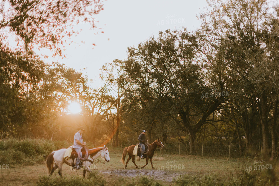 Ranchers on Horses 7289