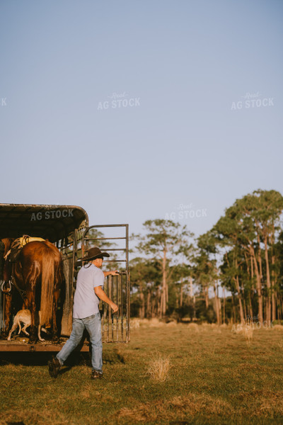 Loading Horse into Trailer 7294