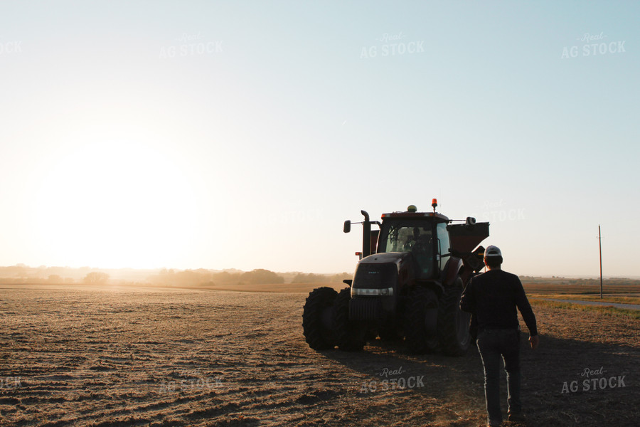 Farmer Walking Towards Grain Cart 123000