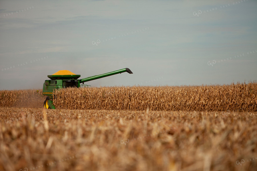 Harvest 1782