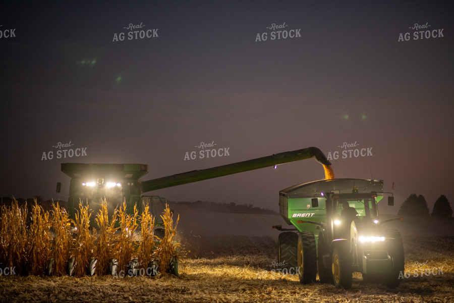 Corn Harvest at Night 76349