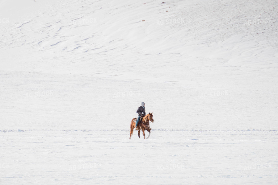 Rancher on Horse in Snowy Landscape 97133