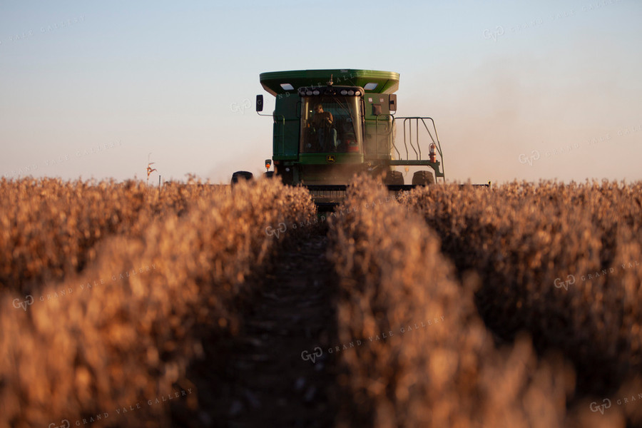 Harvest 1809