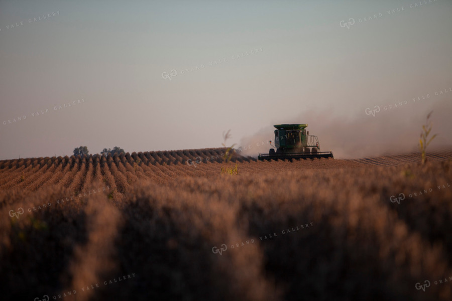 Harvest 1815