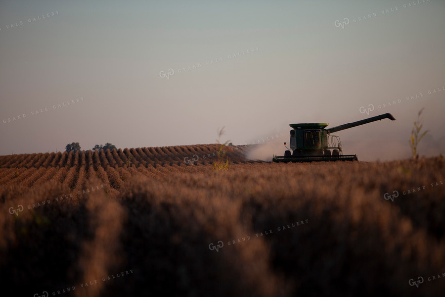 Harvest 1817