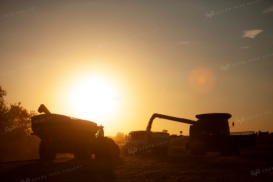 Harvest 1823