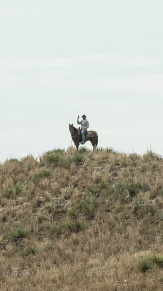 Rancher on Horse at Top of Hill 114053