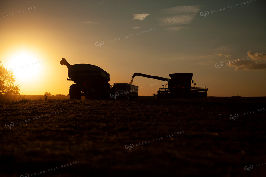 Harvest 1827