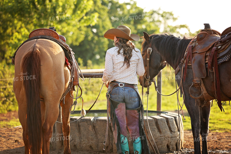 Rancher with Horses 127028