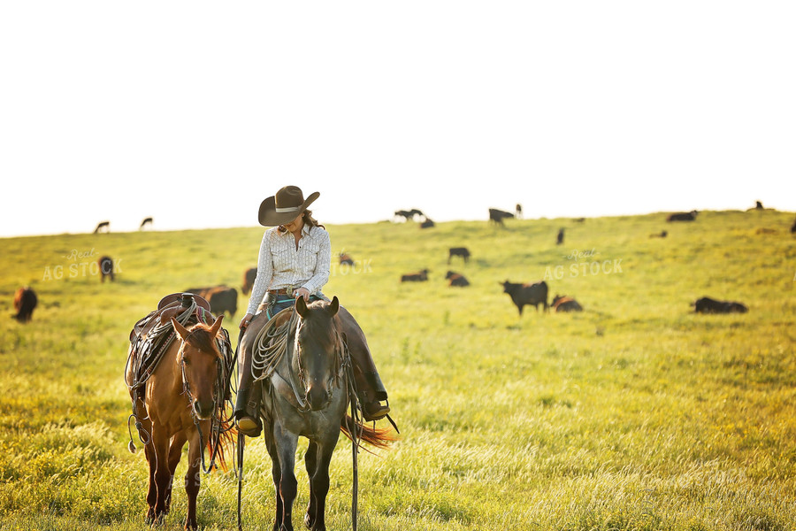 Rancher on Horse in Pasture 127030