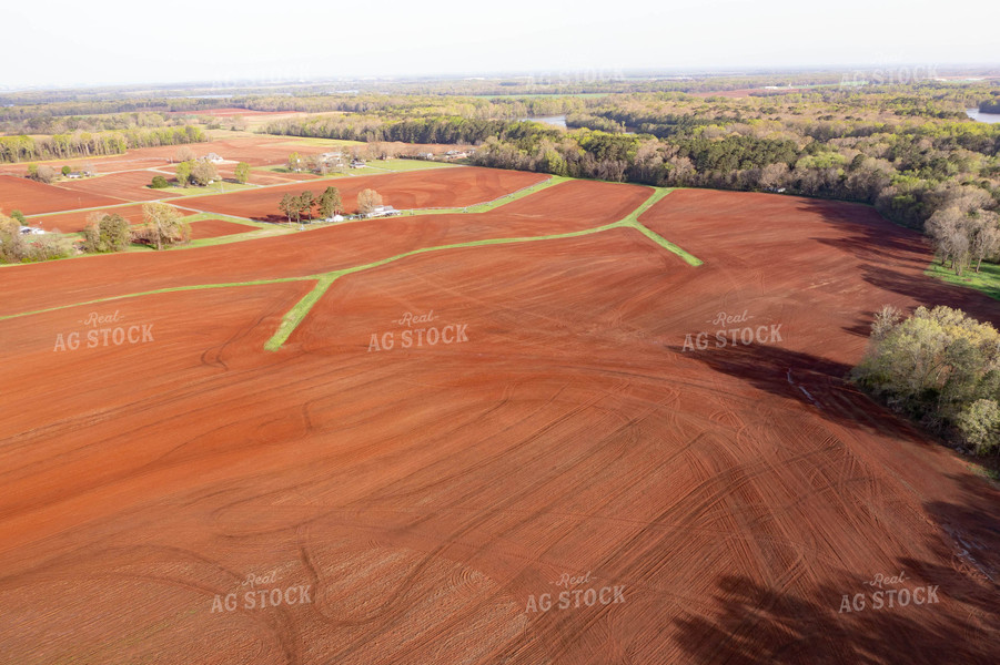 Aerial View of Farmland 79228