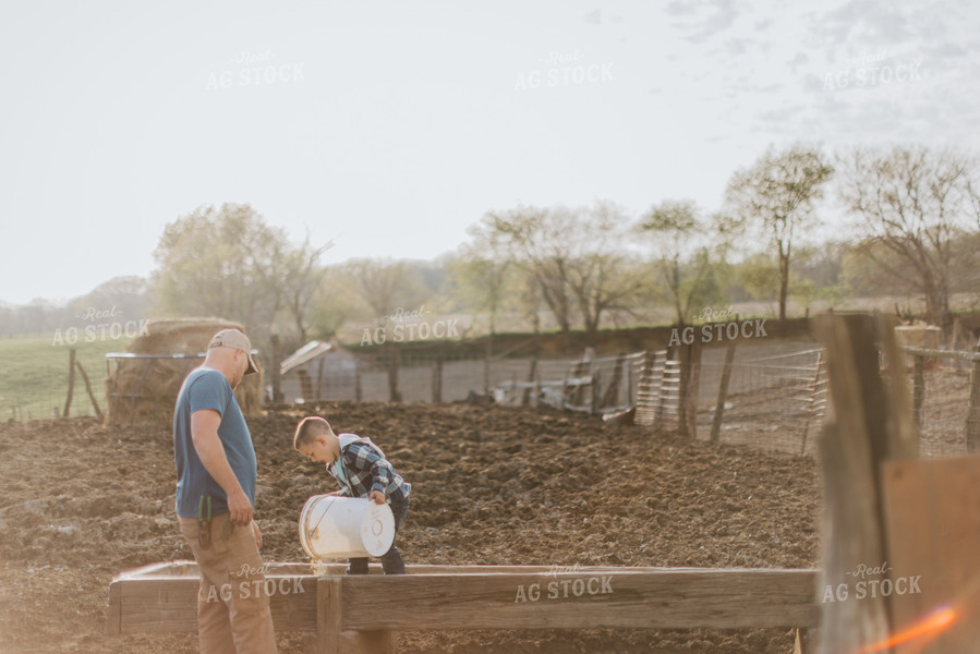 Farm Kid Helping with Chores 7387