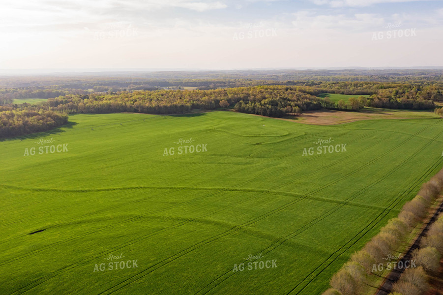 Aerial View of Farmland 79251