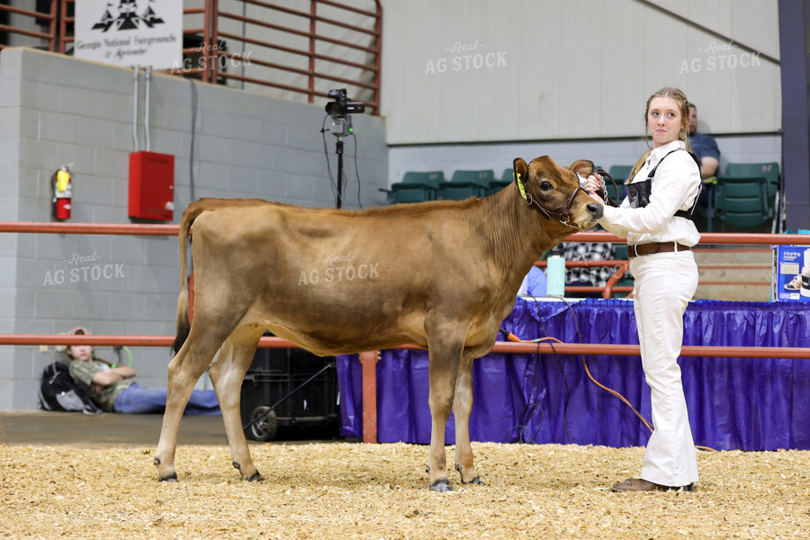 Farm Kid Showing Livestock 52601