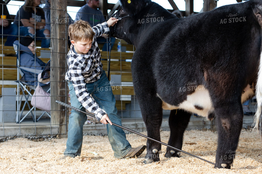 Farm Kid Showing Livestock 52602