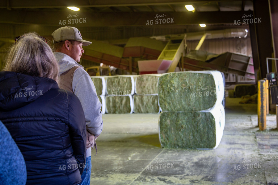 Farmers in Barn of Hay Bales 130015