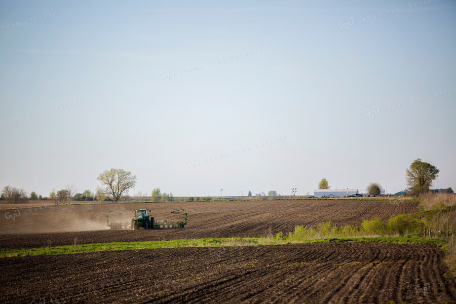 Planting 1908