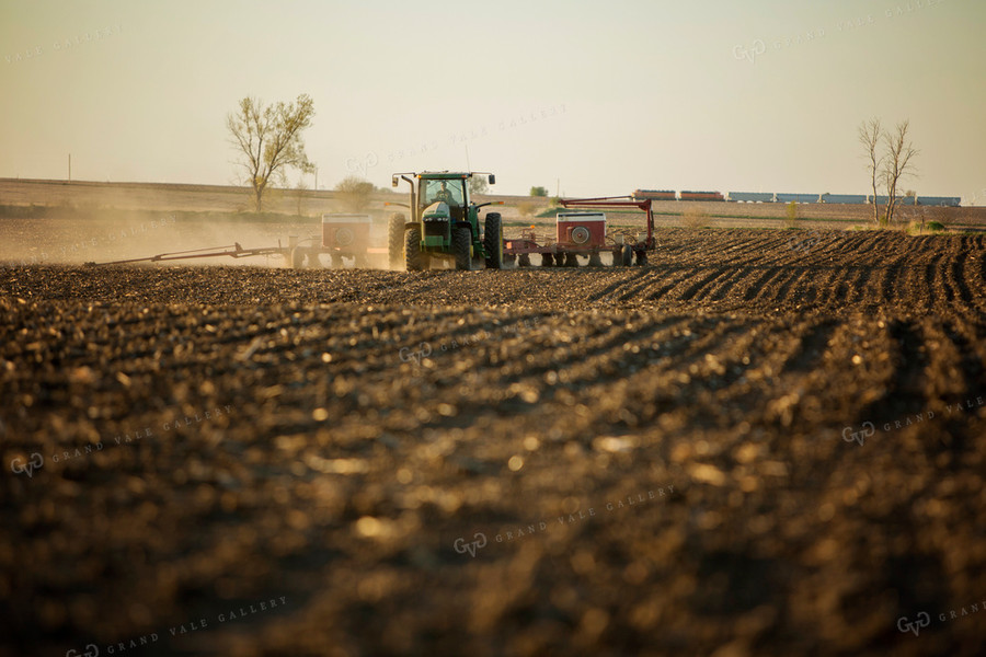 Planting 1921