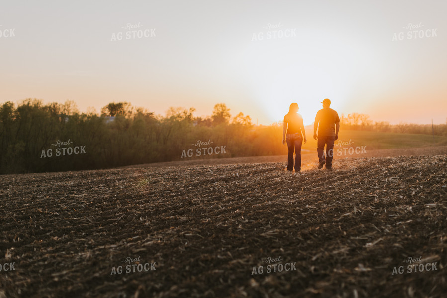 Young Couple Walk in Field at Sunset 7723