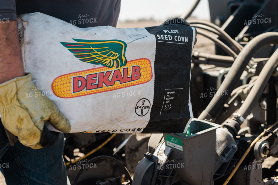 Farmers Pours Seed into Planter 133003