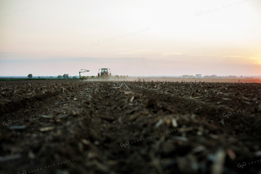 Planting 1954