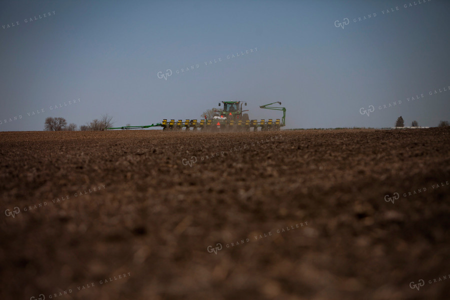 Planting 1988