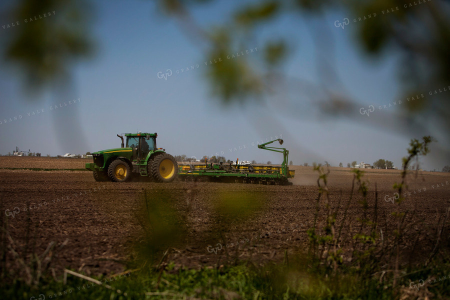 Planting 1993