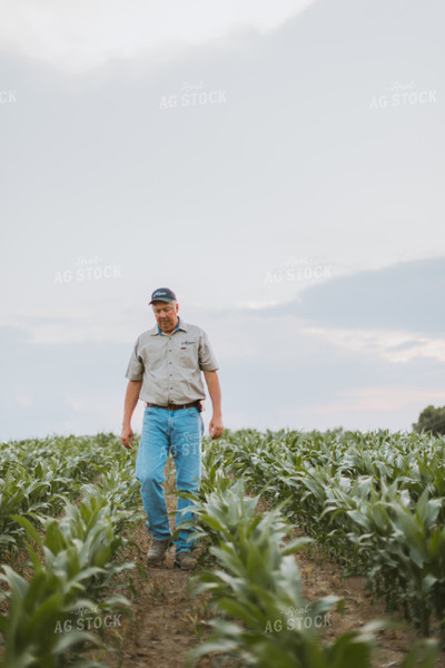 Farmers Scouting Corn Field 7810