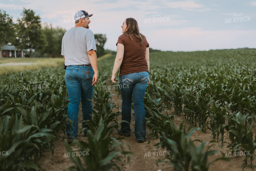 Farmers Scouting Corn Field 7824