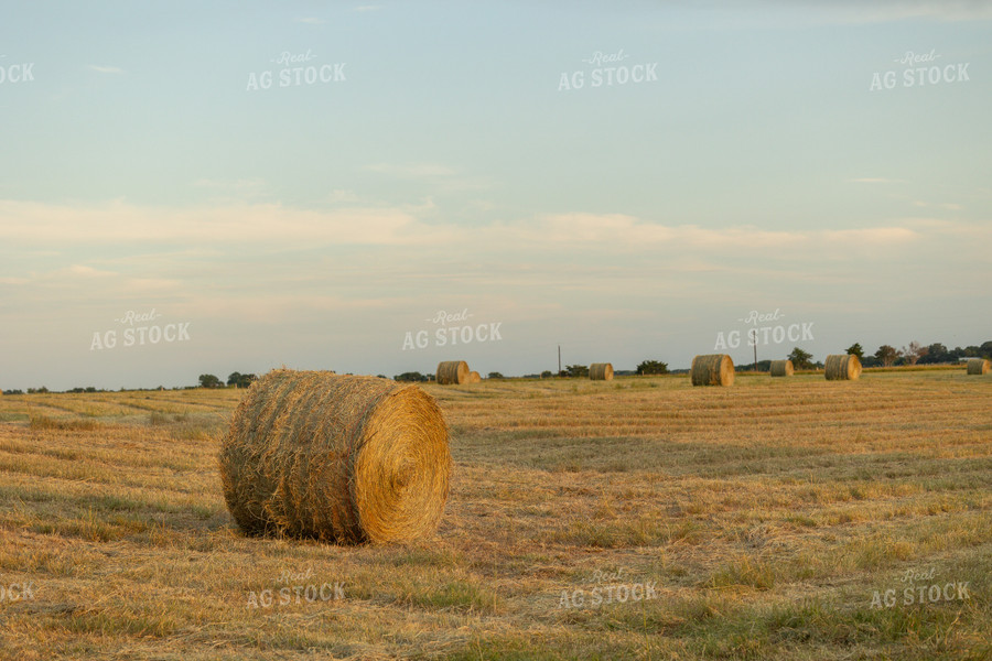 Hay Bale in Field 143007