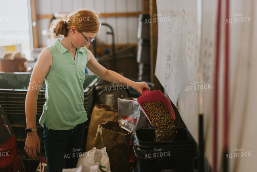 Farm Kid Pouring Feed 7859