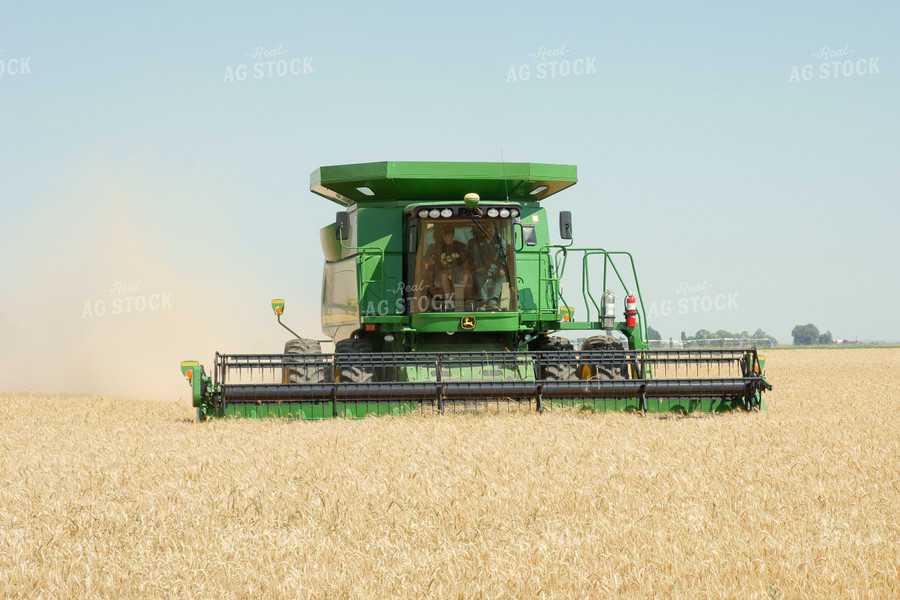 Wheat Harvest 146015