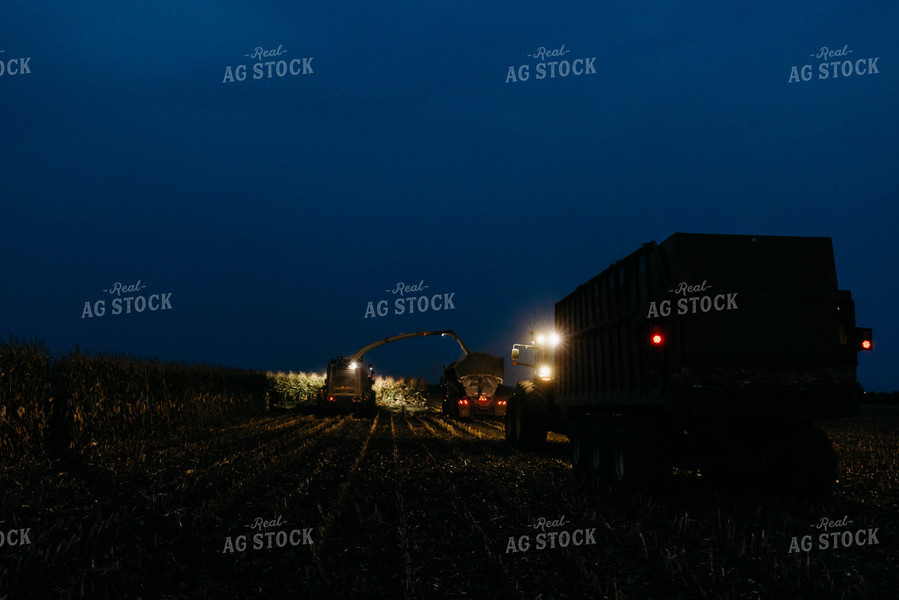 Chopping Corn Silage 152035