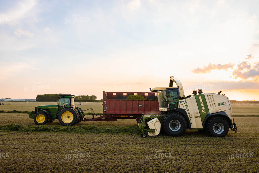 Chopping Silage 152130